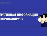 Оперативный штаб: Костромской области удаётся удерживать позиции по сдерживанию коронавирсуной инфекции